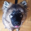 Benutzeravatar