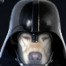 Benutzeravatar