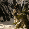 Benutzeravatar