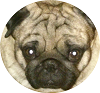 Benutzeravatar
