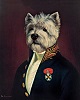 Benutzeravatar